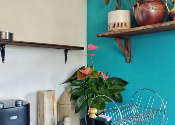 Quirky Bird