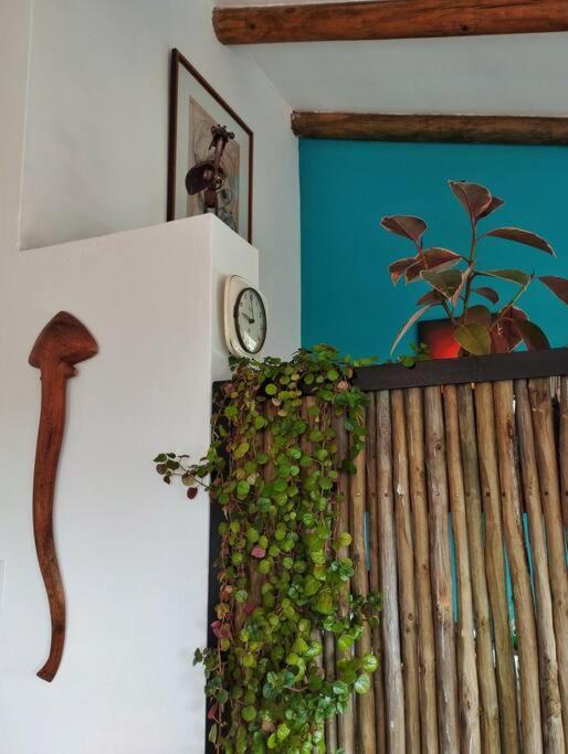 Quirky Bird Apartment Kapstadt