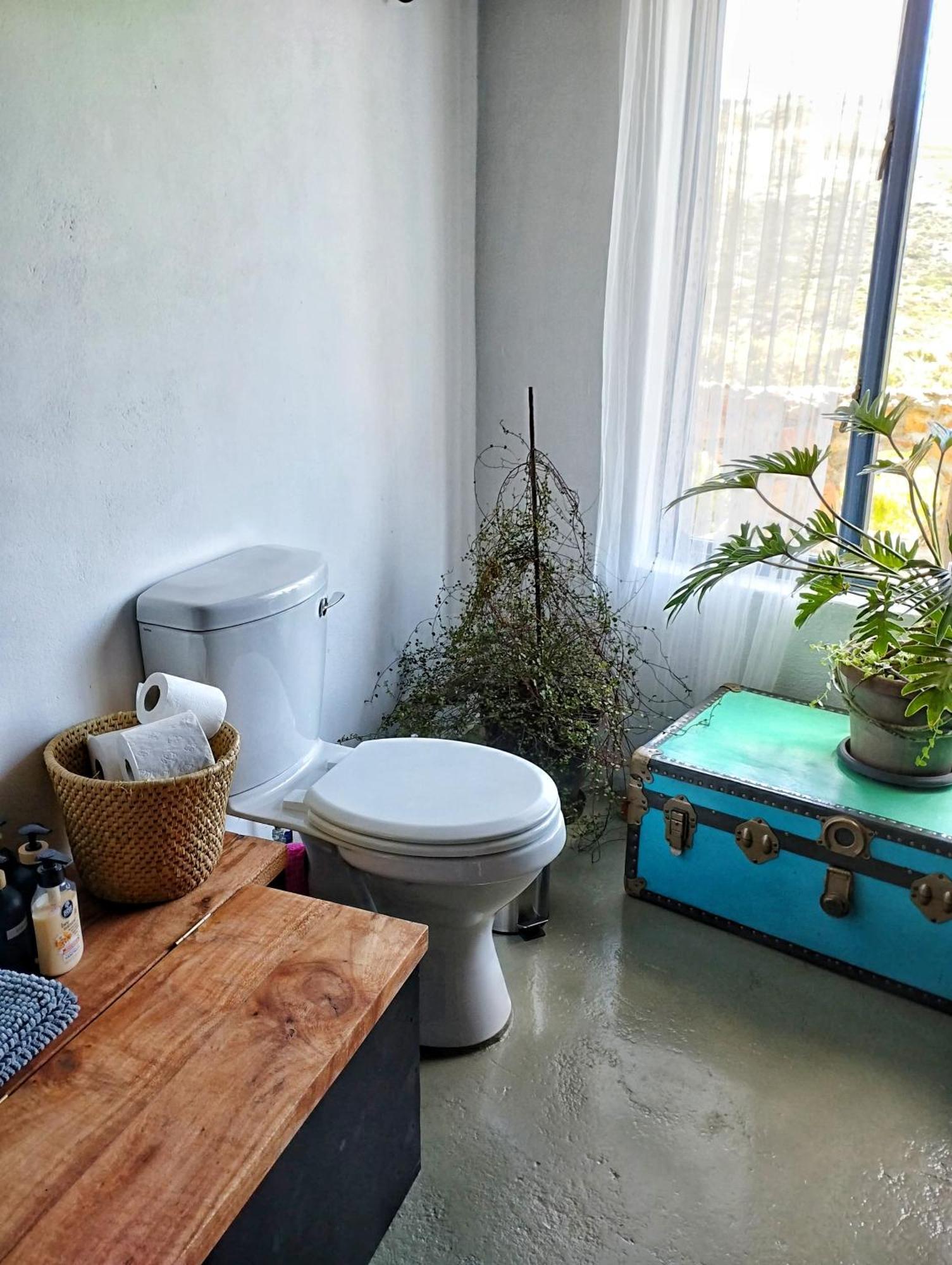 Quirky Bird Apartment