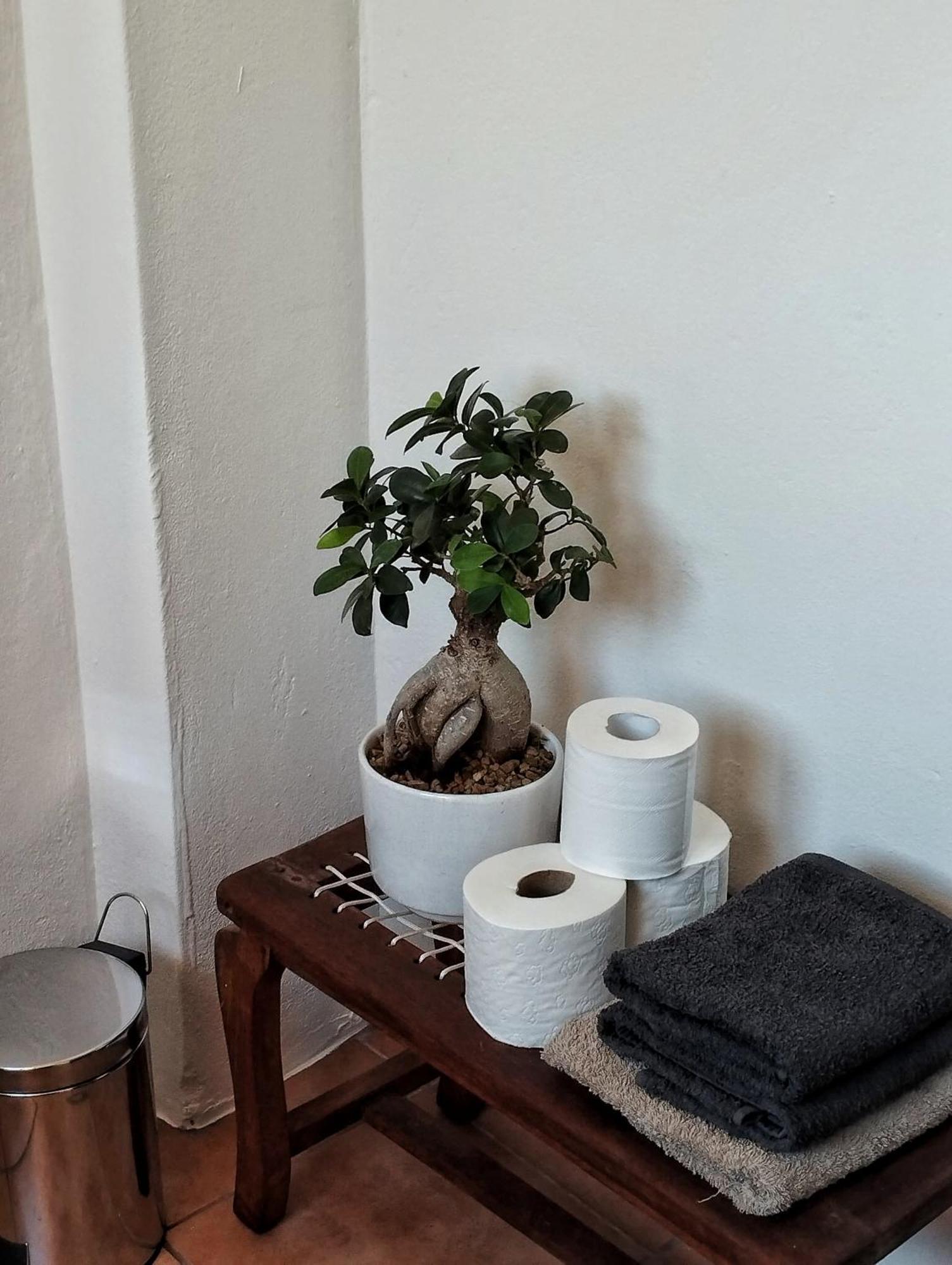 Quirky Bird Apartment